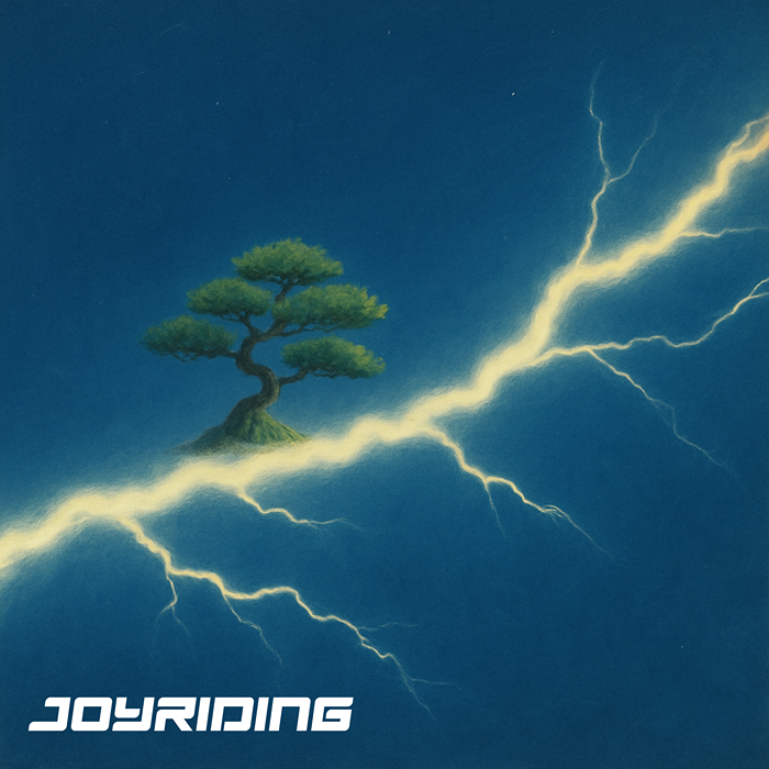 Standard Joyride Tour - Transportation Service